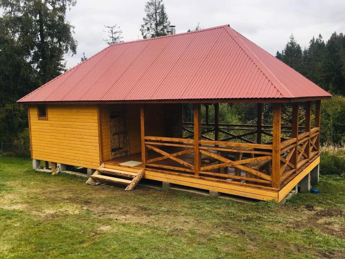 Baza Vidpochynku Ilz Villa Slavsko Exterior foto