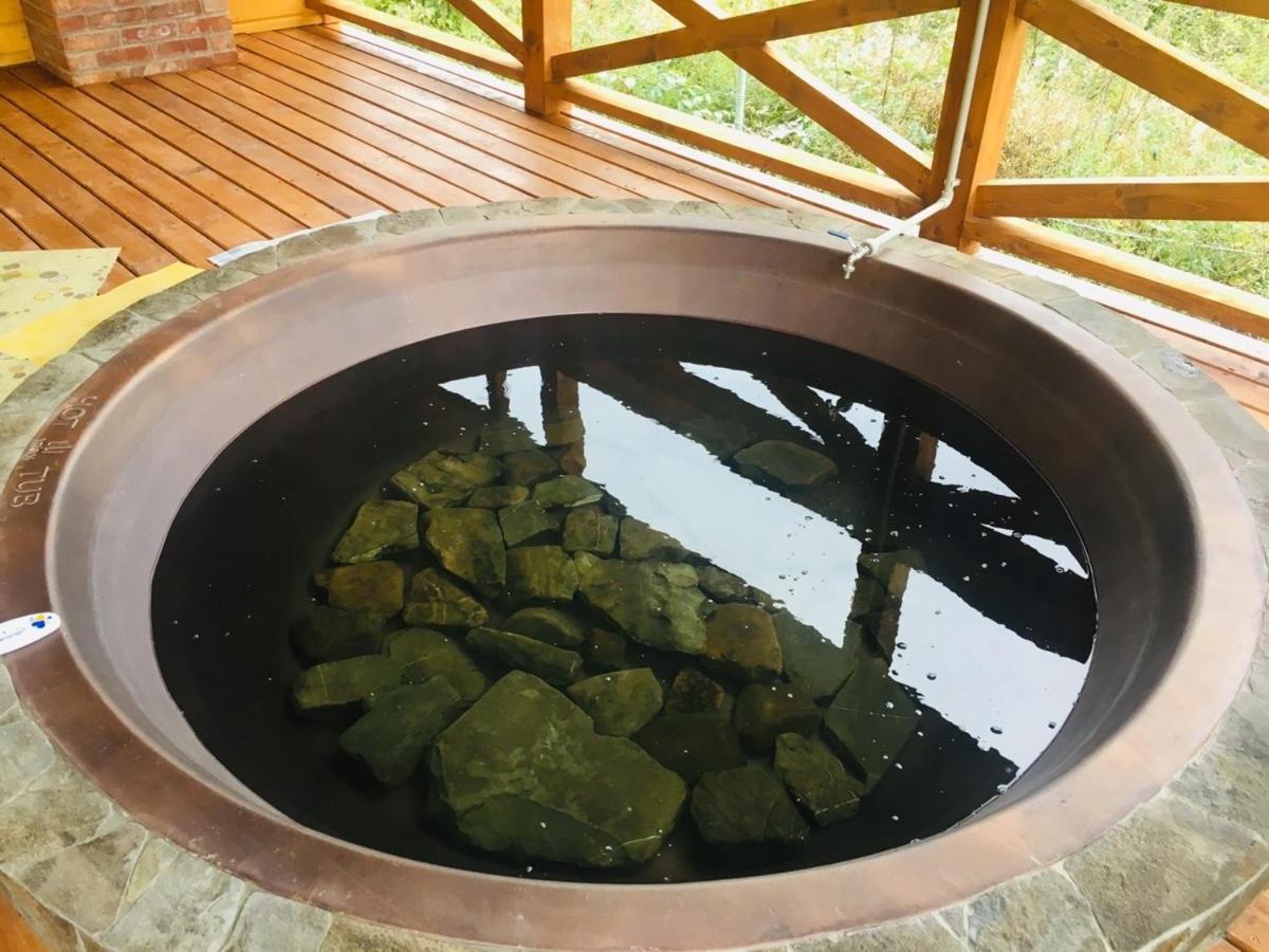 Baza Vidpochynku Ilz Villa Slavsko Exterior foto