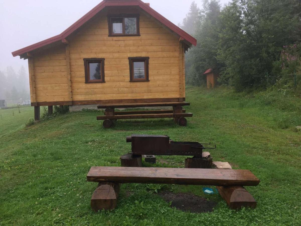 Baza Vidpochynku Ilz Villa Slavsko Exterior foto