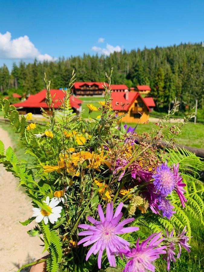 Baza Vidpochynku Ilz Villa Slavsko Exterior foto