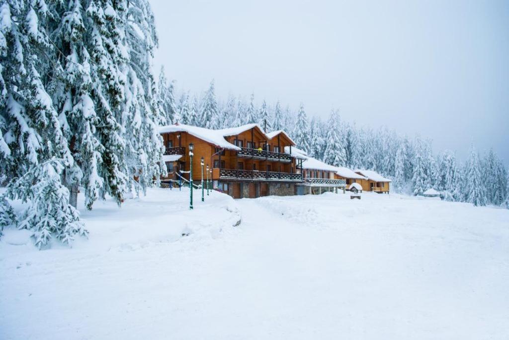 Baza Vidpochynku Ilz Villa Slavsko Exterior foto