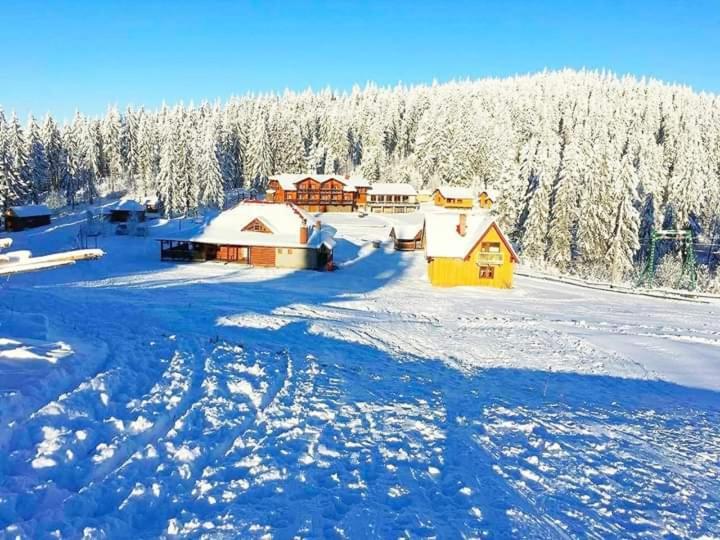 Baza Vidpochynku Ilz Villa Slavsko Exterior foto